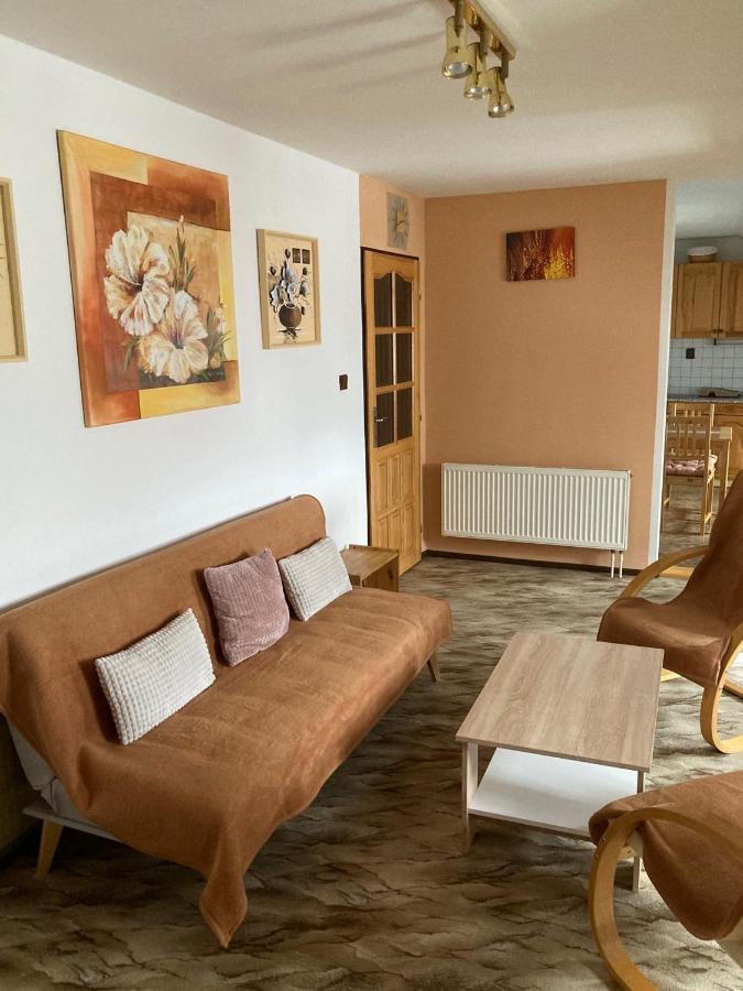 Apartman Na Ostrove Beroun Бероун Экстерьер фото